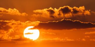 Texas, Oklahoma Businesses Brace for Economic Impact of Extreme Heat Advisory