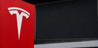 Tesla’s Profit Shortfall Dampens Stock Amid Robust Revenue Expansion