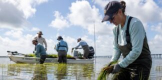 20 Initiatives Launched to Boost Gulf Coast Economy and Business Growth